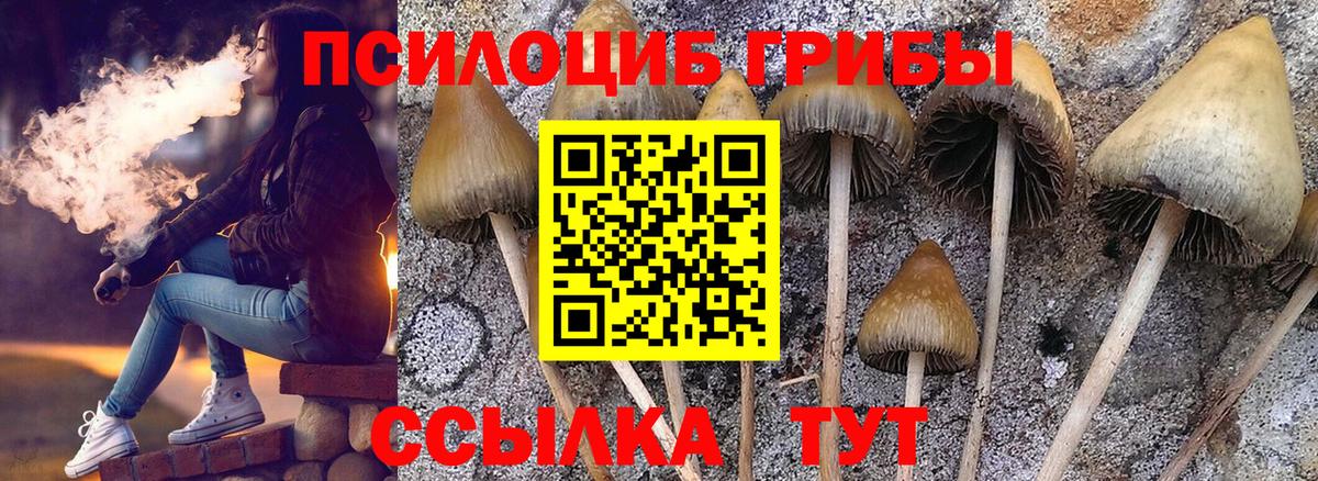 Чусовой  Галлюциногенные грибы GOLDEN TEACHER  Псилоцибиновые грибы мухоморы  наркотики  Вход с VPN 